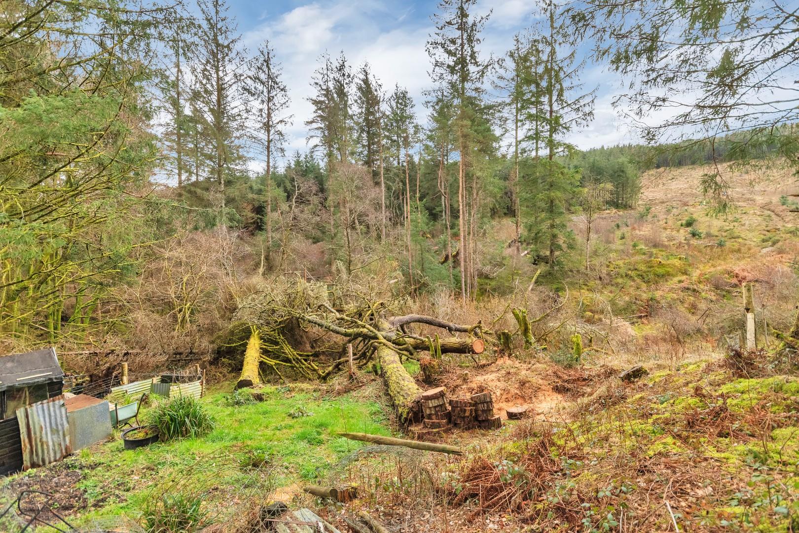 Foel Goch,, Llanidloes, SY18 6PS Estate Agents & Auctioneers